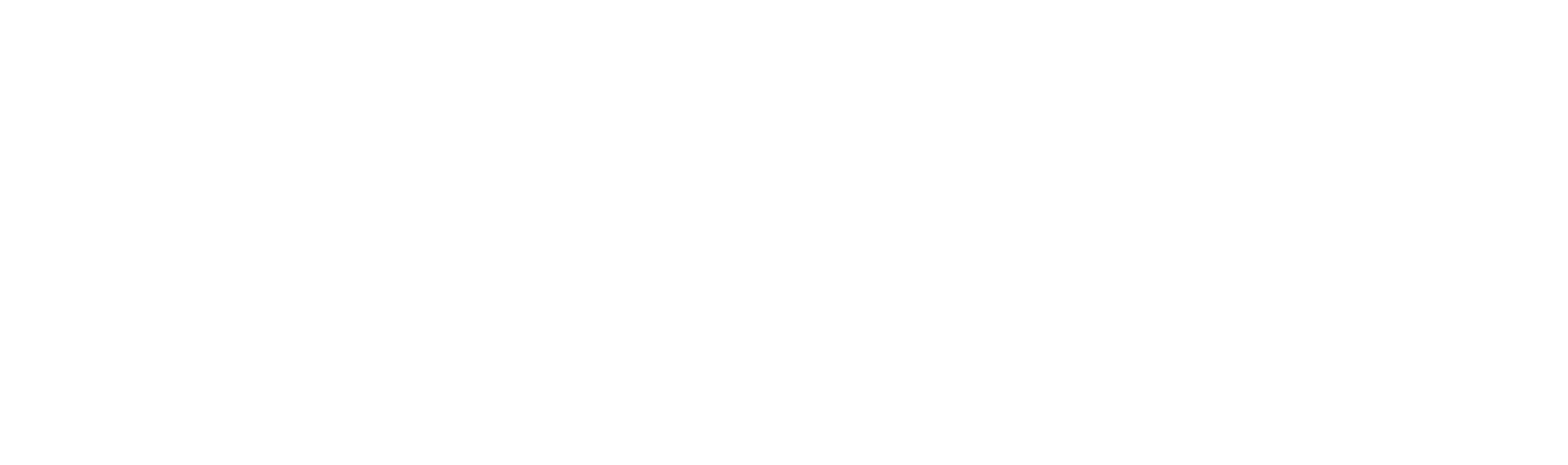 Damen Shipbuilding Logo